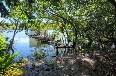 Chácara com 4 dormitórios à venda, 7000 m² por r$ 345.000,00 - área rural - uberlândia/mg