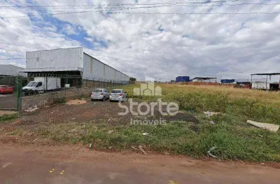 Área à venda, 1610 m² por r$ 724.500 - empresarial taiaman - uberlândia/mg