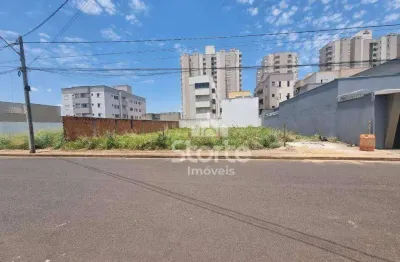 Terreno à venda, 600m² por r$ 660.099 - novo mundo - uberlândia/mg