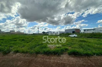 Terreno à venda, 433 m² por r$ 390.000,00 - novo mundo - uberlândia/mg