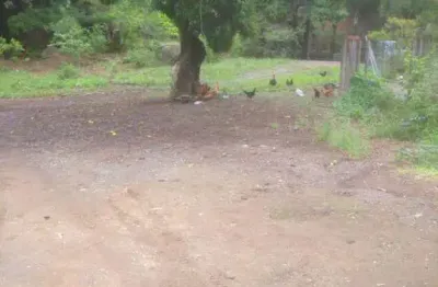 Terreno à venda na Rua Leonilda Carnassa Figueiredo, 115, Tabuazeiro, Vitória