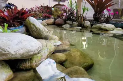 Chácara com 4 quartos à venda em jardim cardoso (mailasqui) - sp