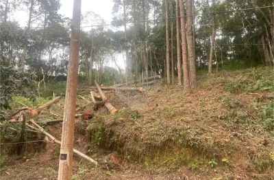 Terreno à venda no Centro (Mailasqui), São Roque 
