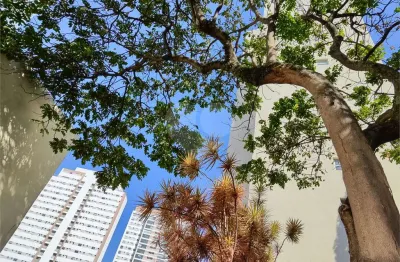 Apartamento no cambuci (ed. condomínio jardim tropical)