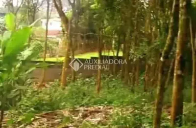 Terreno comercial à venda na rua josé farhat, 9999, dos finco, são bernardo do campo, 3644 m2 por r$ 790.000