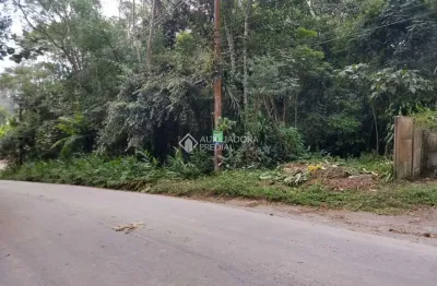 Terreno comercial à venda na eduardo valeriano nardelli, 6, centro de ouro fino paulista, ribeirão pires, 30200 m2 por r$ 860.000