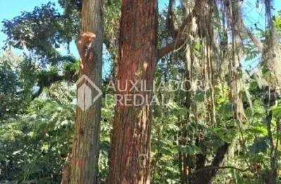 Terreno comercial à venda na estrada martim afonso de souza, 1, balneária, são bernardo do campo por r$ 1.800.000