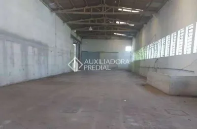 Barracão / galpão / depósito para alugar na estrada joão ducim, 250, jardim jamaica, santo andré, 750 m2 por r$ 20.000
