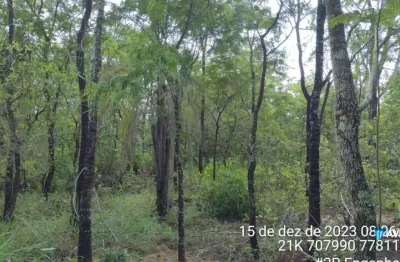 Fazenda à venda na Ms-080, Br 080, Zona Rural, Corguinho