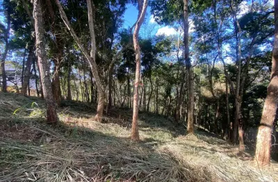 Terreno em condomínio fechado à venda na Rua Prefeito Luiz Penna, Chácaras Passos Del Rey, Juiz de Fora