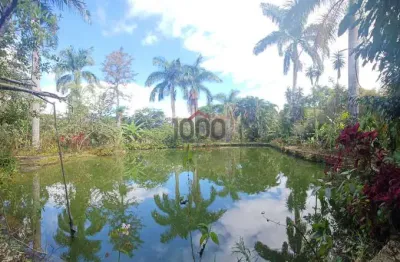 Chácara / sítio com 2 quartos à venda na Estrada Ponte Do Arco, Ponte do Arco, Matias Barbosa