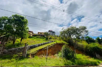 Chácara / sítio com 3 quartos à venda na Avenida Florida, Terras do Comendador, Juiz de Fora