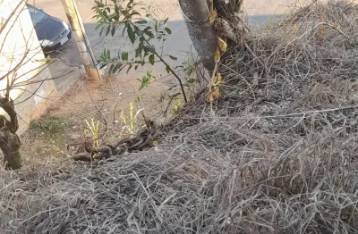 Excelente oportunidade de investimento, terreno com valor  excepcional