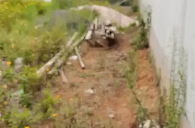 Ótima localização, excelente topografia, terreno murado e escriturado