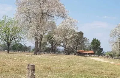 Chácara à venda 8 quartos, 3 suites, 2650m², centro, cáceres - mt