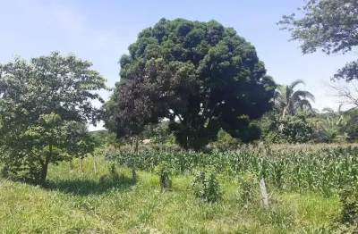 Terreno à venda, comunidade mimoso, santo antônio do leverger, mt