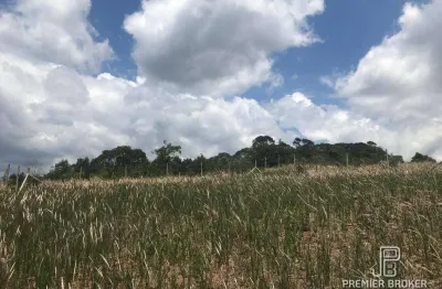 Terreno à venda, 630 m² - pessegueiros - teresópolis/rj