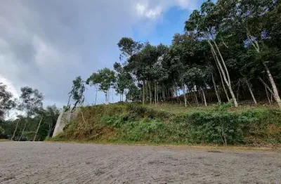 Terreno à venda, 567 m² por r$ 155.000,00 - vargem grande - teresópolis/rj