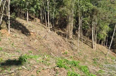 Terreno à venda, 840 m² por r$ 240.000,00 - granja guarani - teresópolis/rj