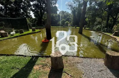 Chácara com 2 dormitórios à venda, 20000 m² por r$ 2.500.000,00 - pedra bela - pedra bela/sp