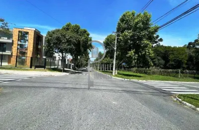 Terreno à venda na Avenida Pineville, 438, Pineville, Pinhais