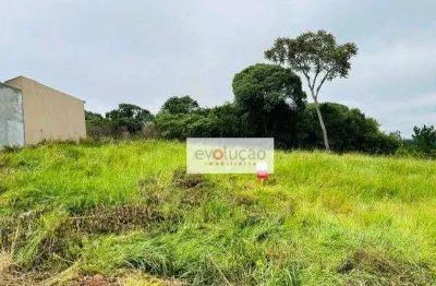 Terreno à venda na Rua Said Ajuz, Estrela, Ponta Grossa