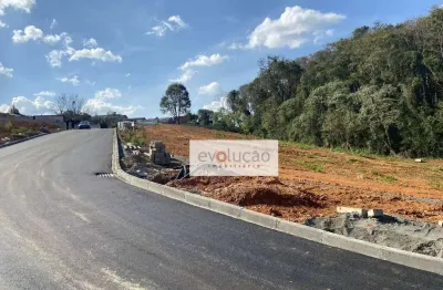 Terreno à venda, 1.060 m² privativos -   vila conceição - campo largo/pr