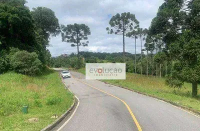 Terreno em condomínio fechado à venda na Rua Araruna, 48, Vila Conceição, Campo Largo