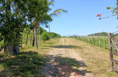 Sítio para locação em candeias, área rural de candeias