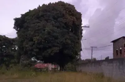 Terreno à venda na Estrada Cassange, 41, Cassange, Salvador