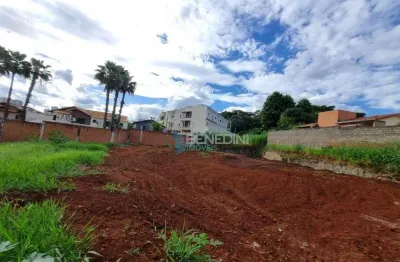 Terreno à venda, 640 m² por r$ 1.000.000,00 - jardim botânico - ribeirão preto/sp