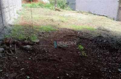 Terreno à venda, 485 m² por r$ 220.000,00 - jardim itaú - ribeirão preto/sp