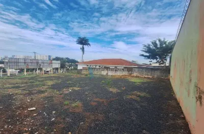 Terreno comercial à venda na Avenida Costábile Romano, Ribeirânia, Ribeirão Preto