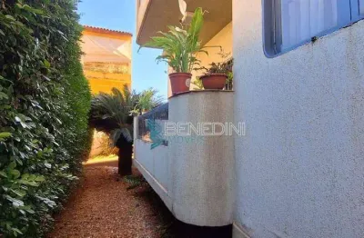 Apartamento com quintal  - 2 dormitórios à venda, 85 m² por r$ 315.000 - jardim palma travassos - ribeirão preto/sp