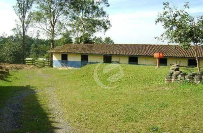 Chácara à venda, 10000 m² por r$ 1.000.000,00 - parque das garças - santo andré/sp
