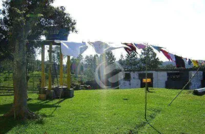 Chácara à venda, 10000 m² por r$ 1.000.000,00 - parque das garças - santo andré/sp