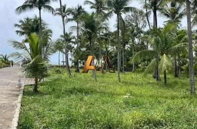 Terreno à venda no bairro morro de são paulo - cairu/ba