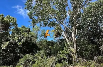 Terreno à venda no bairro praia do forte - mata de são joão/ba
