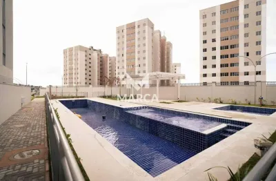 Reserva das palmeiras - apartamento a venda novo, 2 quartos, 1 vaga
