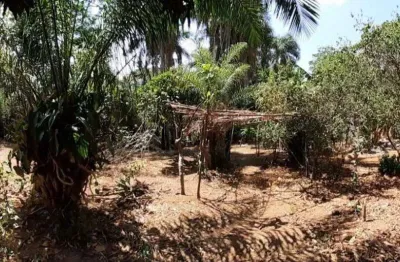 Chácara de 3.900 m² à venda por r$ 900.000 no conjunto estrela do sul em aparecida de goiânia