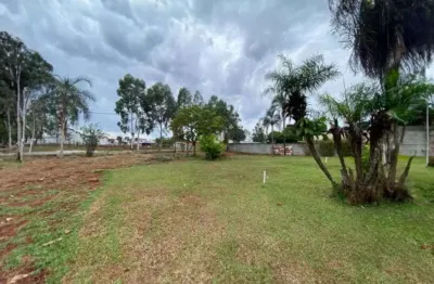 Terreno à venda, 12000 m² por r$ 5.892.480 - chácaras são pedro - aparecida de goiânia/go
