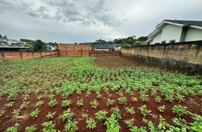 Terreno à venda no São Francisco, Pato Branco 