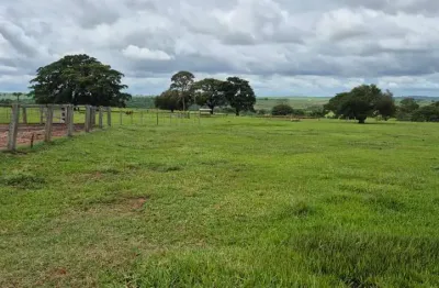 Oportunidade única – fazenda à venda com 95 alqueires em martinópolis/sp