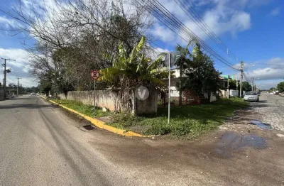 Terreno comercial para alugar na Rua Bem-te-vi, S n, Juscelino Kubitschek, Santa Maria
