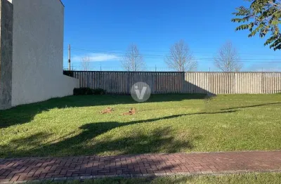 Terreno em condomínio fechado à venda na Rua César Trevisan, 1043, Tomazetti, Santa Maria