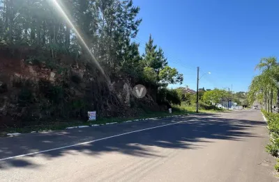 Terreno à venda na Osvaldo Zambonato, n 278 LOTE, Vila Catani, Silveira Martins