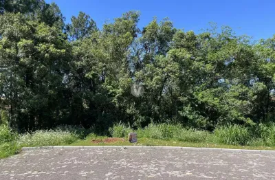 Terreno à venda na Rua Dom Albino Luciani, LOTE 06, Vila Catani, Silveira Martins