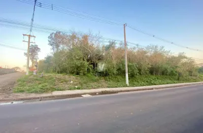Terreno comercial com quase 1000m2 próximo ao moradas manta maria!