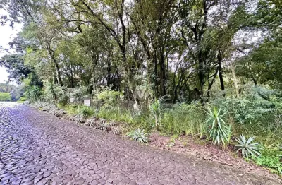 Terreno à venda na Alameda Timbaúva, 350, Cerrito, Santa Maria