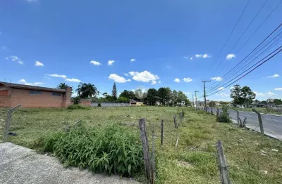Terreno de esquina no parque pinheiro machado - pronto para construir